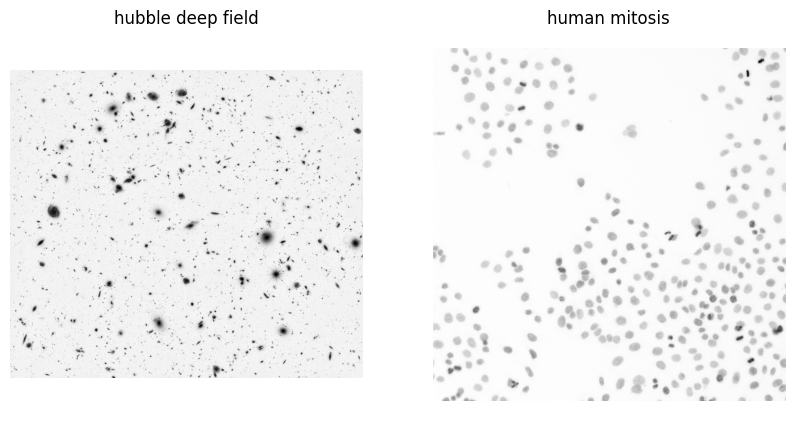 <Figure size 1000x500 with 2 Axes>